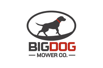Big Dog